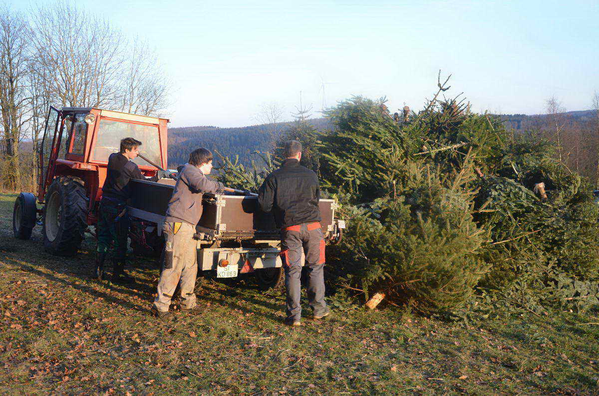 2013-01-12 WBAktion 06.jpg